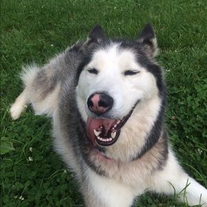 Meet your Posher, Marla